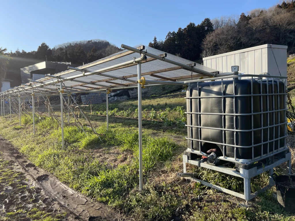 農園での潅水